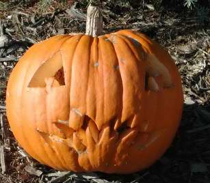 Crazy Teeth, Nipomo Pumpkin Patch best carving idea