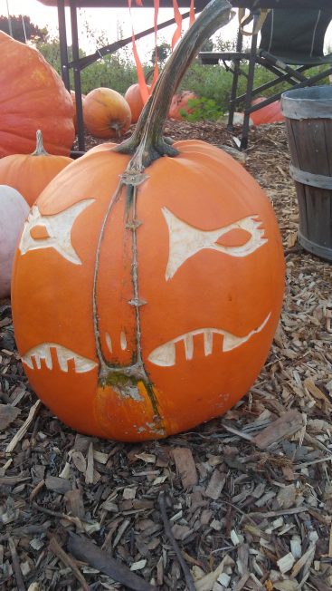 Fish Eye, Nipomo Pumpkin Patch best carving idea