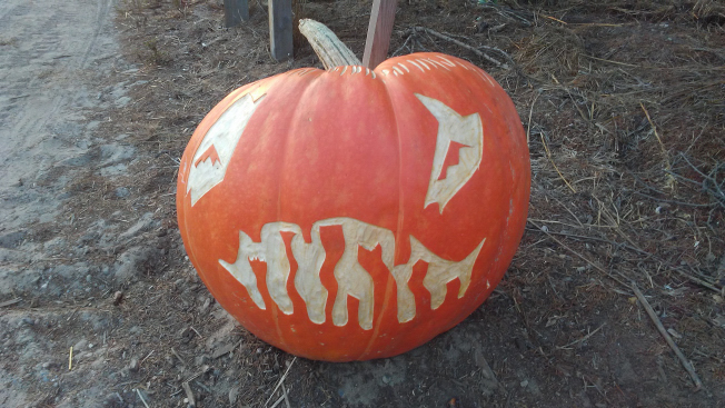 Reef Teeth, Nipomo Pumpkin Patch best carving idea